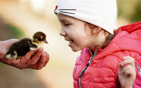 4 Things Kids Can Learn From Interacting With Animals - The Art Farm NYC