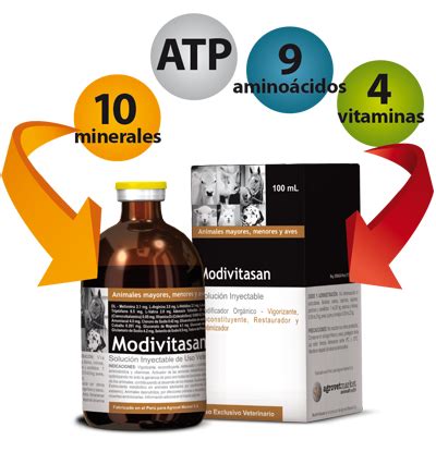 Modivitasan - Que es Modivitasan?