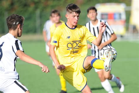 Settore Giovanile Modena Fc