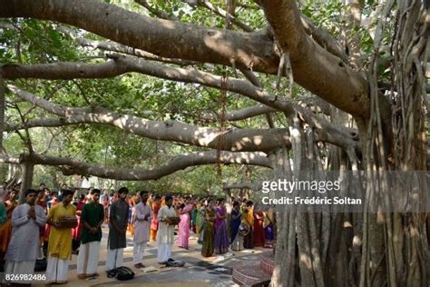 Kalakshetra Foundation Photos and Premium High Res Pictures - Getty Images