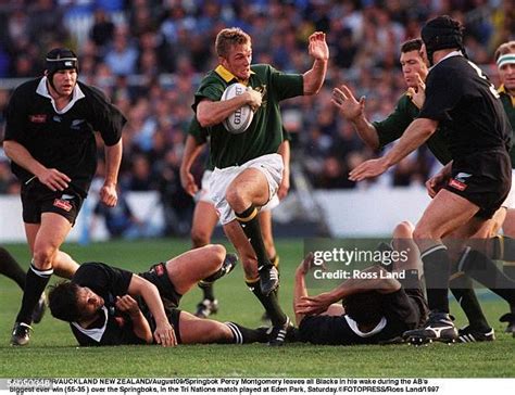 springboks   premium high res pictures getty images