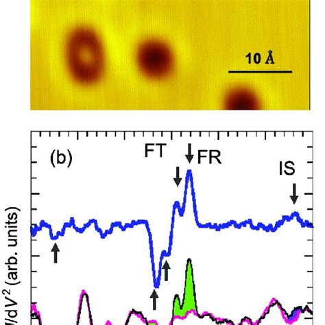 A STM IETS Spectrum Taken On A Clean Cu 110 Surface B Phonon DOS