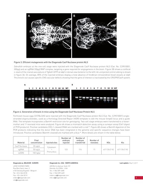 Cas9 Nuclease protein NLS 이앤씨바이오