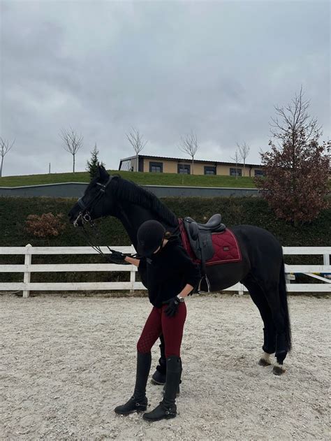 Pin by eviks🧊 on equestrian | Horseback riding outfits, Beautiful ...