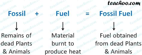 Fossil Fuels Examples