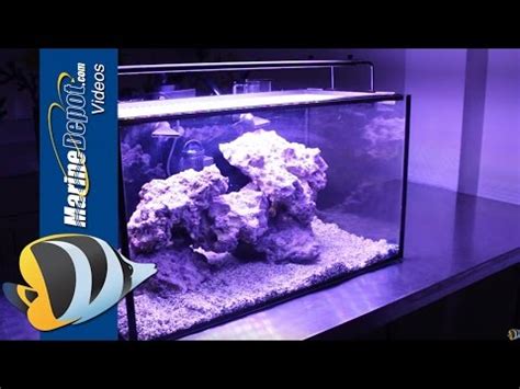 Tank Hacks Easy Upgrades For Your Innovative Marine Fusion Nano