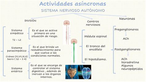 Actividades Asincronas Actividades Asincronas Signos De Puntuaci N