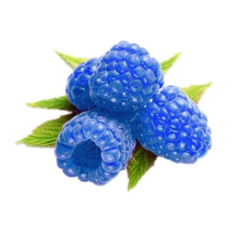 Blue Raspberry - DIY Flavor Concentrate – Vapor Vapes