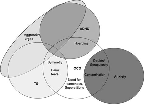 Schematic Representation Of The Relationships Between The Ocd Factors