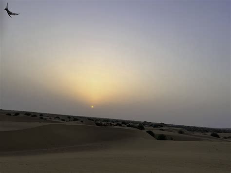 Jaisalmer's Sam Sand Dunes: A Desert Dream Unveiled