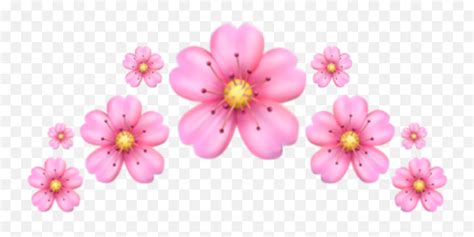 Bouquet Flower Emoji Copy And Paste | Best Flower Site