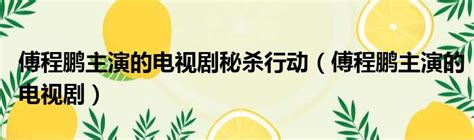 傅程鹏主演的电视剧秘杀行动（傅程鹏主演的电视剧）51房产网