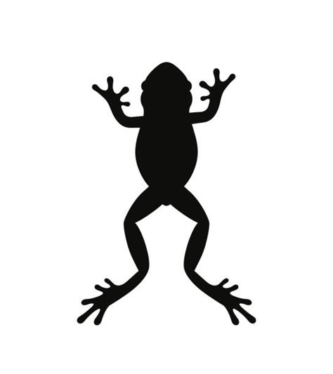 frog silhouette illustrations royalty  vector graphics clip art