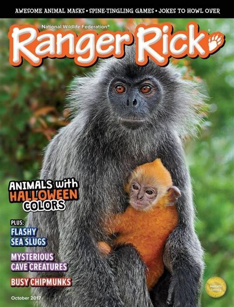 Best Magazines for Kids to Add to Your Classroom Library