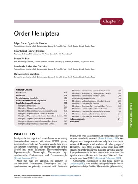 Gerridae | PDF | Anatomical Terms Of Location | Insects