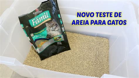 AREIA PARA GATOS FÃMIL Gatil Hauser YouTube