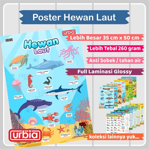 Jual Poster Hewan Laut Urbia Poster Edukasi Anak Paud Tk Sd Shopee