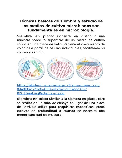 Tecnicas De Siembra Medicina T Cnicas B Sicas De Siembra Y Estudio