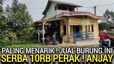 Kios Burung Harga Nasi Padang Serba Rb Ada Murai Batu Kenari