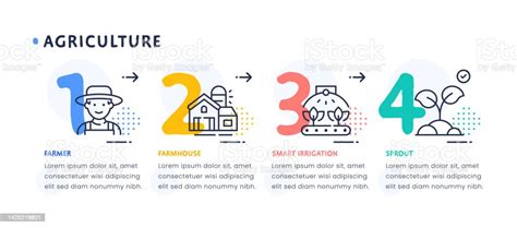 Concept Infographique De La Chronologie De Lagriculture Vecteurs Libres