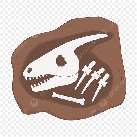 Imagens Ossos De Dinossauro Png E Vetor Com Fundo Transparente Para