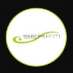 Radio Ser Fm Radiosaovivo Online