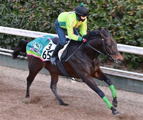 【根岸s・コメントのツボ】ダートで崩れなし！ エンペラーワケア好感触「川田騎手も“やっぱり動きますねえ”と褒めてくれました」東スポ競馬