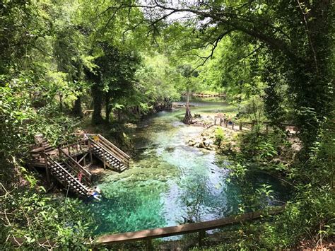 Lafayette Blue Spring State Park - Visit Natural North Florida