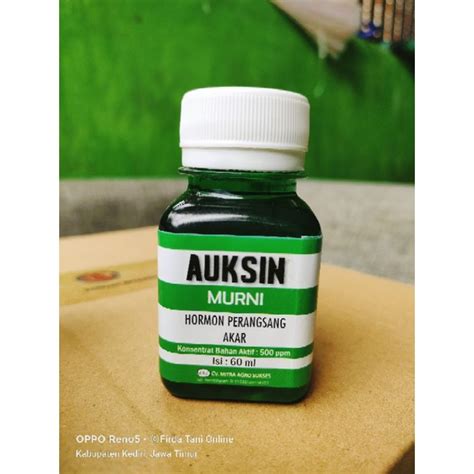 Jual Auksin Murni Ml Hormon Perangsang Akar Original Shopee Indonesia