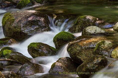 Shutter Speed Explained Know Your Camera Apogee Photo Magazine