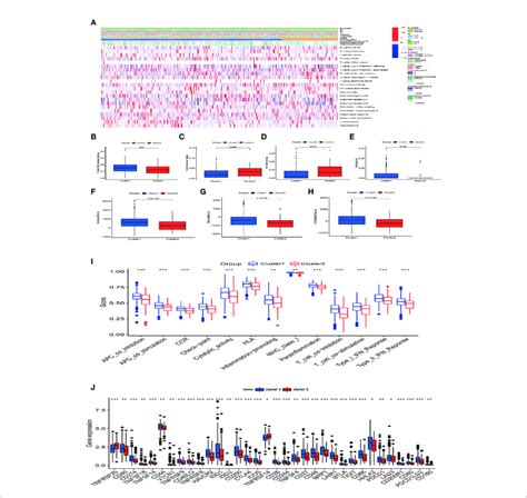 Analysis Of The Immune Microenvironment And Immune Functions In