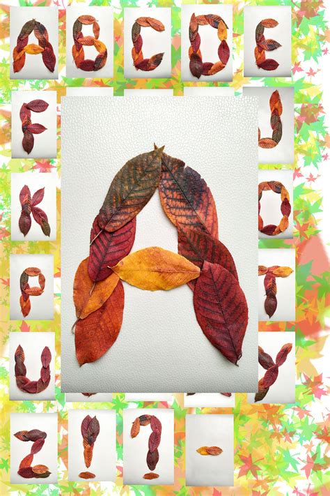 Nature Alphabet Photo Letter Art Alphabet Download Etsy Alphabet Photos Letter Art Photo