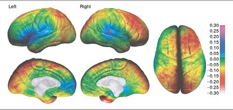 Figure 3 From Mapping Brain Maturation Semantic Scholar