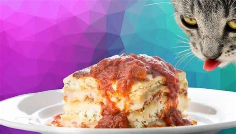 Can Cats Eat Lasagna? - Tuxedo Cat