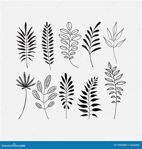 Graphic Decorative Set Of Leaf Icons Stock Vector Illustration Of