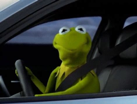 Kermit-nod GIFs - Find & Share on GIPHY