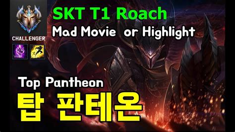 새로 영입된 SKT T1 Roach 김강희 탑솔러 판테온 매드무비 top pantheon mad movie highlight