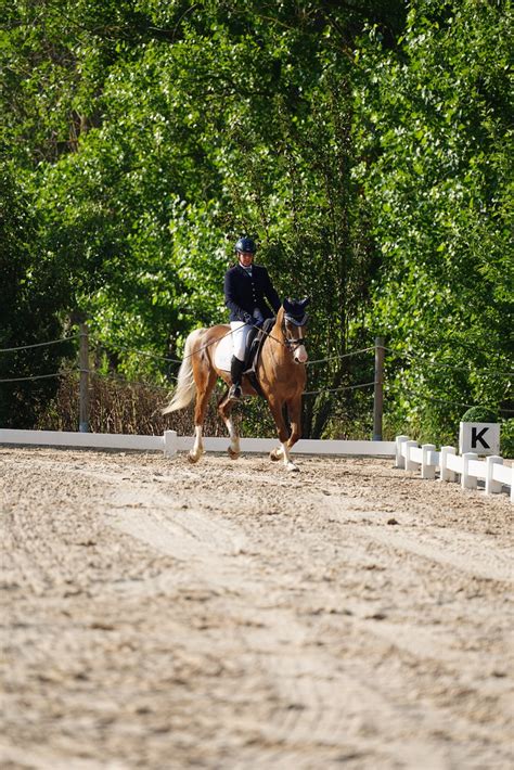 DSC04534 FEDERACION NAVARRA DE HIPICA Flickr