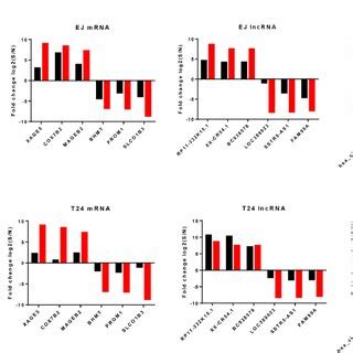 Character analysis of differentially expressed lncRNAs and circRNAs ... 