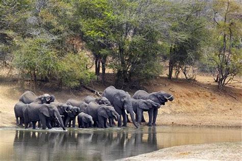 South Africa Kruger Mammals Naturetrek