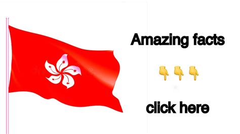 Amazing Fact About Hong Kong YouTube