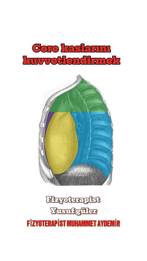 Yusuf | Wroclaw | Physiotherapist | Medical Trainer | 🫁Hemi-diaphragm