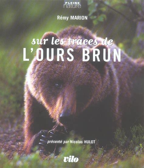 Sur les traces de l ours brun Rémy Marion 2719107670 Livre