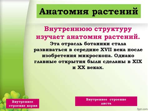 Ботаника – наука о растениях - презентация онлайн