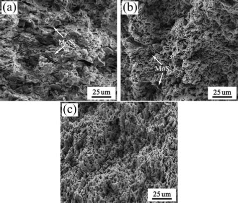 SEM Micrographs Of The Fracture Surface Of The Hot Pressed And