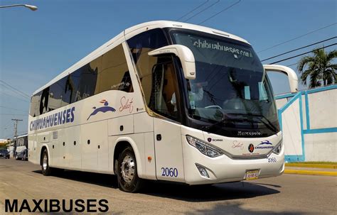 Maxibuses Especial Transportes Chihuahuenses Select