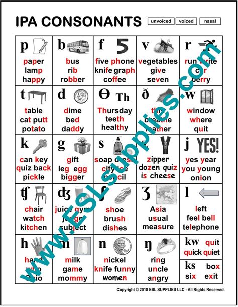 Consonants - IPA - ESL Phonics Poster, English Anchor Chart, Literacy ...