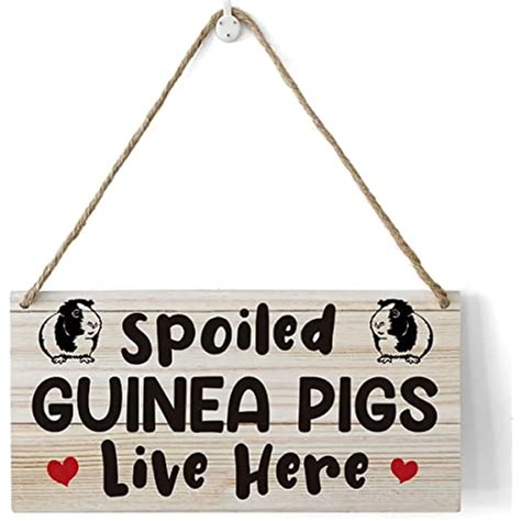 Farmhouse Guinea Pig Wooden Sign Wall Decor Rustic Spoiled Live Here