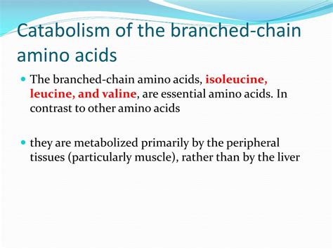 Ppt Glucogenic Ketogenic Amino Acids Powerpoint Presentation Id