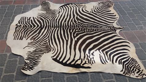 Genuine patterned zebra skin rug - Catawiki